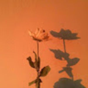 Meet your Posher, Mirabel